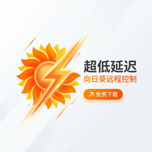 品牌 - 向日葵远程控制软件Rego策略语言介绍